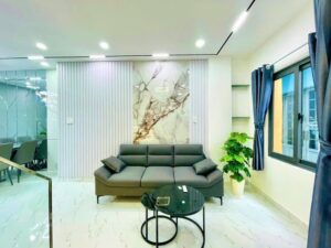 BÁN NHÀ LÝ THƯỜNG KIỆT P.4 GÒ VẤP