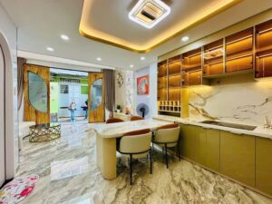 NHÀ PHỐ 5 TẦNG LÝ THƯỜNG KIỆT GÒ VẤP