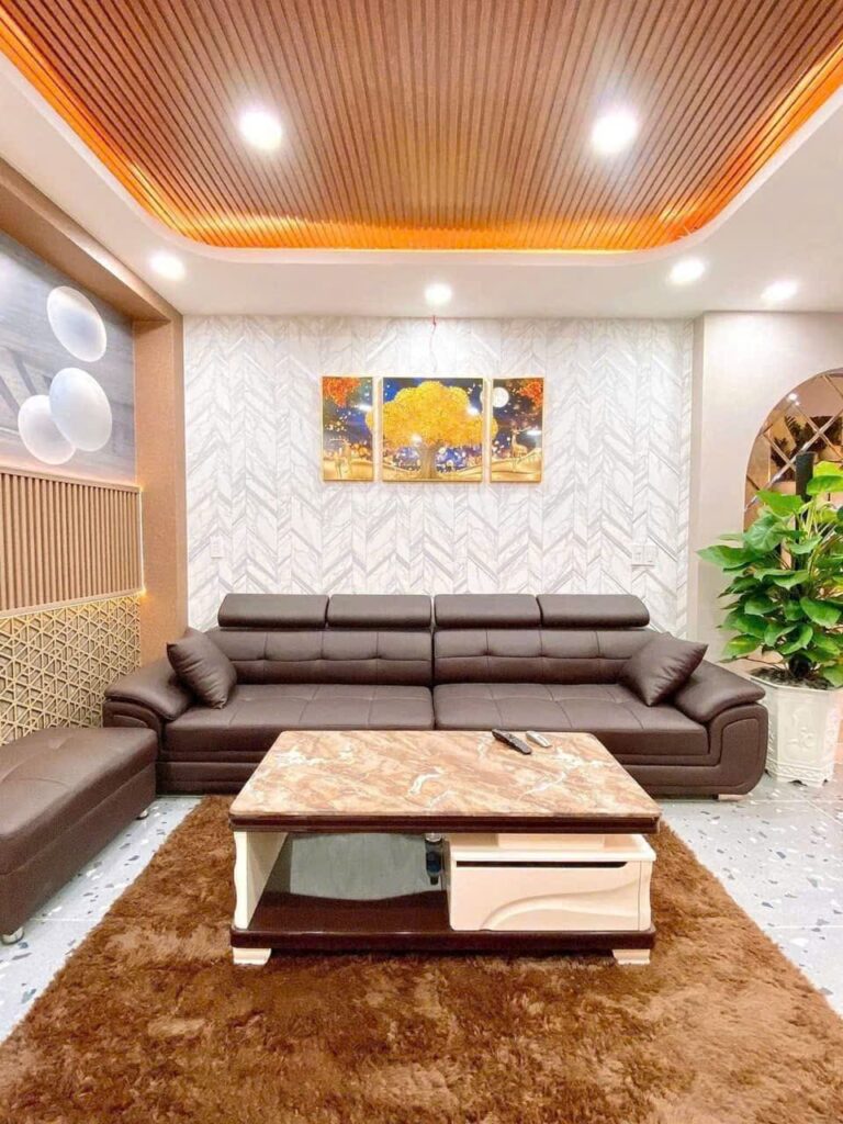 BÁN NHÀ GÒ VẤP ĐƯỜNG SỐ 30 P.6